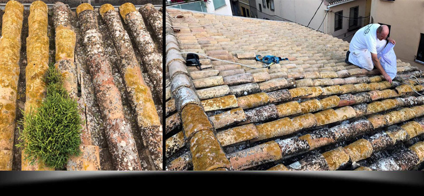 corcho proyectado castellon